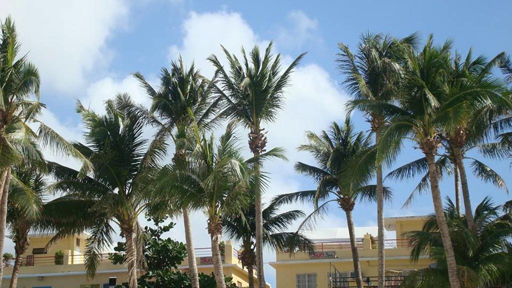 Sun Villa Beachfront Resort & Spa Balabag  Bagian luar foto